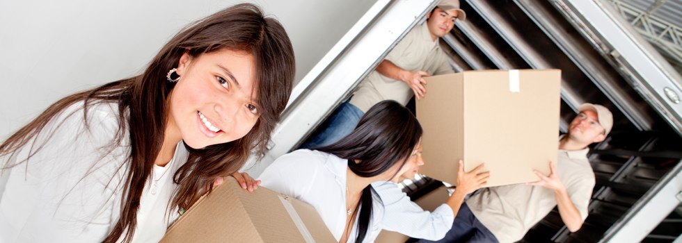 Professional Removalists Deer Vale